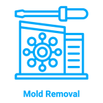 ic-Commercial-Mold-Removal