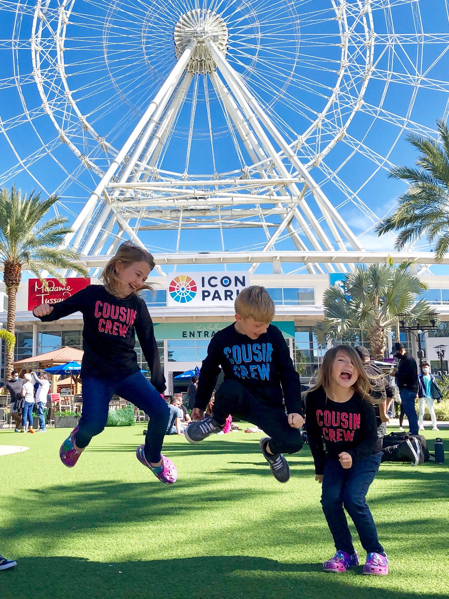 Wheel at ICON Park Restoration Champ