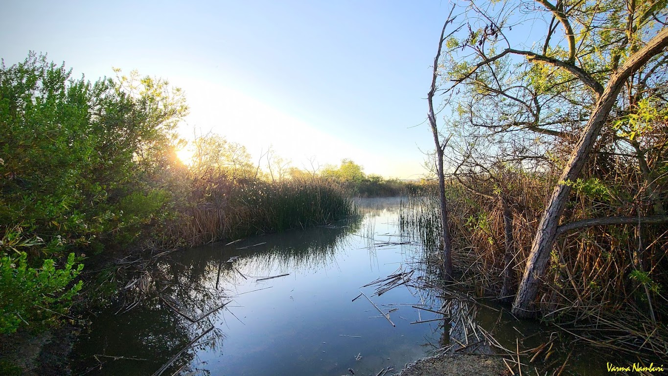 IRWD San Joaquin Marsh & Wildlife Sanctuary