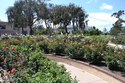 Balboa Park Gallery 4