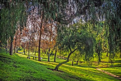 Craig Regional Park Gallery 4