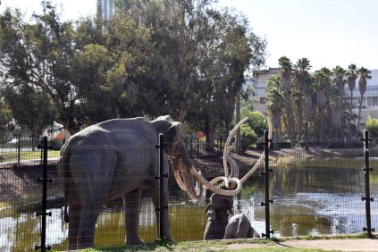 La Brea Tar Pits Gallery 3