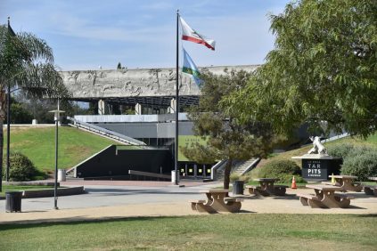 La Brea Tar Pits Gallery 4