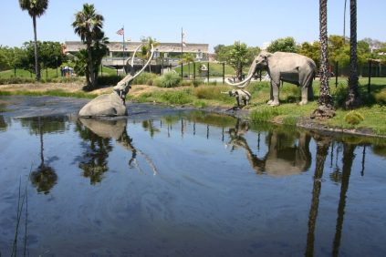 La Brea Tar Pits Gallery