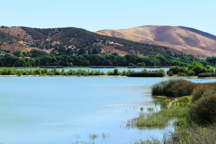 Lake Palmdale Gallery 2