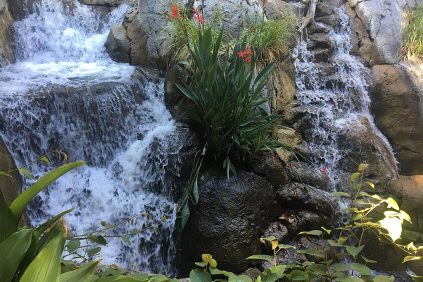 San Diego Zoo Gallery 2