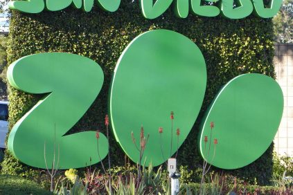 San Diego Zoo Gallery