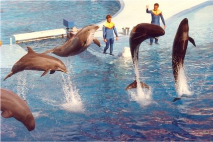 east-orlando-sea-world