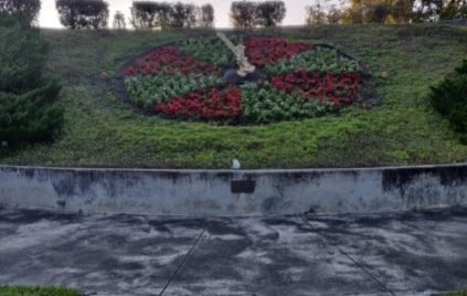floral-clock-at-leu-garden-orlando