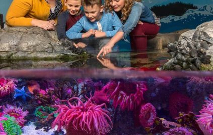 girl-touching-sea-creature-with-family