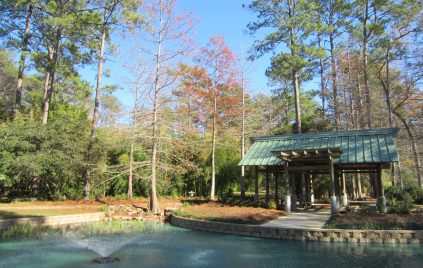 mercer-arboretu-lake-and-trees