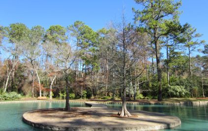 mercer-arboretum-storey-lake-island