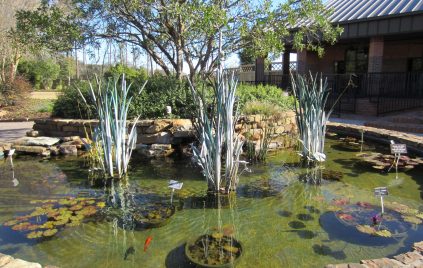 mercer-botanical-gardens-fish-pond-at-entrance
