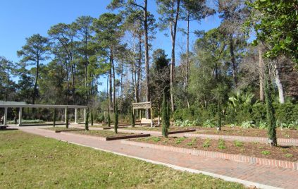 mercer-botanical-gardens-houston-texas