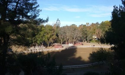 view-of-recreational-riders-arena-laguna-lake-park
